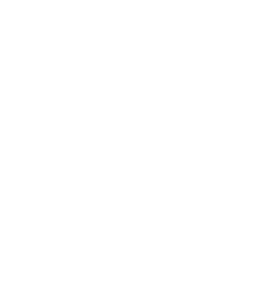 circle-icon
