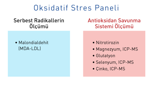 oksidatif stres paneli synevo laboratuvarlari