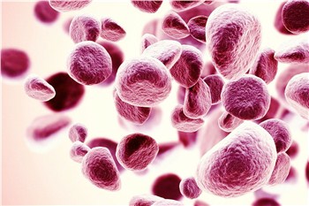 Thalassemia Types & Other Hemoglobin Diseases