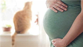 Toxoplasmosis in Pregnancy