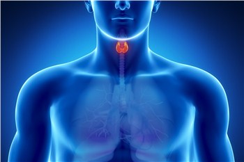 Thyroid Diseases & Arising Risk Factors