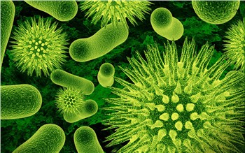 Mikrobiyota - Vücudumuzun Gözle Görülmeyen 'Çözüm Ortağı'